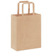 Pungi de hârtie 250 buc cu mânere maro 18x8x22 cm - WALTI WALTI