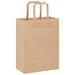 Pungi de hârtie 250 buc cu mânere maro 21x11x28 cm - WALTI WALTI