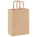 Pungi de hârtie 250 buc cu mânere maro 21x11x28 cm - WALTI WALTI