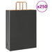 Pungi de hârtie 250 buc cu mânere negre 32x12x42 cm - WALTI WALTI