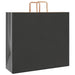 Pungi de hârtie 250 buc cu mânere negre 54x15x49 cm - WALTI WALTI