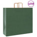 Pungi de hârtie 250 buc cu mânere verde 54x15x49 cm - WALTI WALTI
