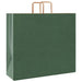 Pungi de hârtie 250 buc cu mânere verde 54x15x49 cm - WALTI WALTI
