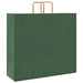 Pungi de hârtie 250 buc cu mânere verde 54x15x49 cm - WALTI WALTI