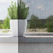Perdele Voile cu Oeli 2 buc Negru 140x245 cm - WALTI WALTI