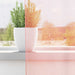 Perdele Voile cu Bucle 2 buc Roz 140x140 cm - WALTI WALTI