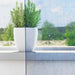 Perdele voal cu bucle 2 buc Albastru regal 140x175 cm - WALTI WALTI