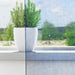Perdele Voile cu Bucle 2 buc Albastru Regal 140x245 cm - WALTI WALTI