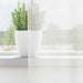 Perdele Voile cu Bucle 2 buc Alb 140x245 cm - WALTI WALTI