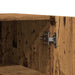 Dulap, lemn vechi, 100x36x60 cm, lemn prelucrat - WALTI WALTI