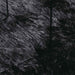 Covor Shaggy cu fir lung NAVARRA negru, 60x100 cm, poliester - WALTI WALTI