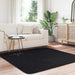 Covor shaggy cu pom înalt, NAVARRA, negru, 160x160cm, poliester - WALTI WALTI