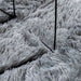 Covor shaggy cu pom înalt, NAVARRA, gri deschis, 200x200 cm - WALTI WALTI