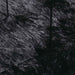 Covor shaggy cu pom înalt, NAVARRA, negru, 240x240cm, poliester - WALTI WALTI
