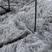 Covor shaggy cu pom înalt, NAVARRA, gri deschis, 160x160 cm - WALTI WALTI