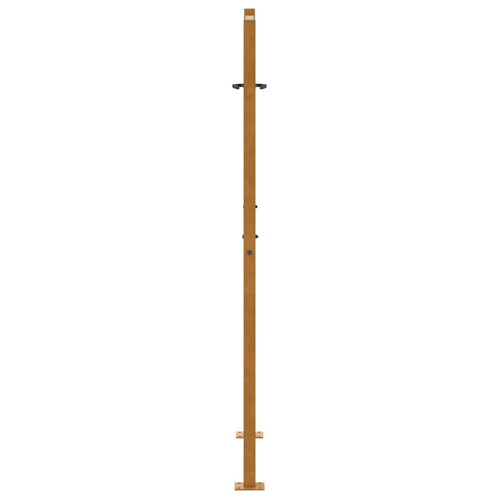Poartă de grădină 100x150 cm, oțel rezistent la intemperii, design luminos WALTI