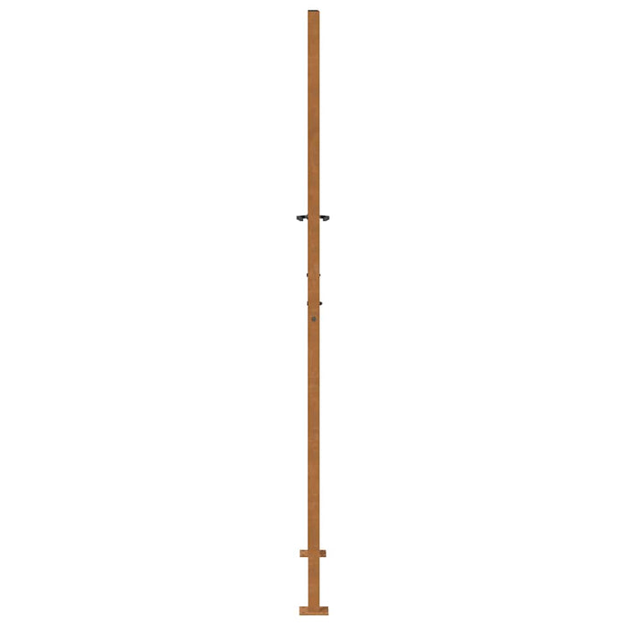 Poartă de grădină 100x200 cm, oțel rezistent la intemperii, design ușor WALTI