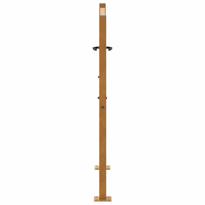 Poartă de grădină 100x100 cm, model frunze de oțel rezistente la intemperii WALTI