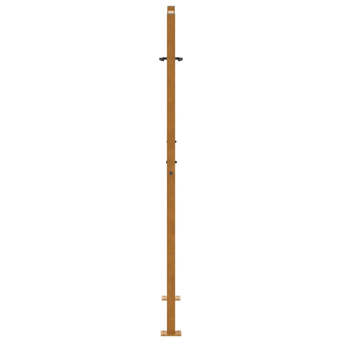 Poartă de grădină 100x150 cm, model frunze de oțel rezistente la intemperii WALTI