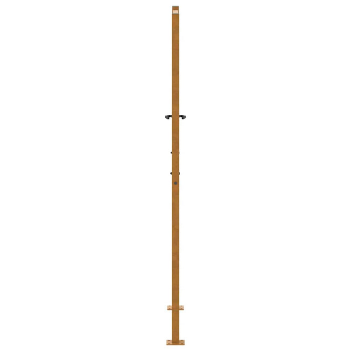 Poartă de grădină 100x175 cm, model frunze de oțel rezistente la intemperii WALTI