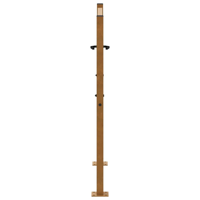 Poartă de grădină 100x100 cm, oțel rezistent la intemperii, model flacără WALTI