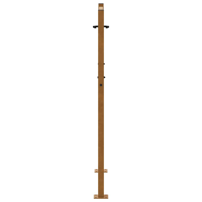 Poartă de grădină 100x125 cm, oțel rezistent la intemperii, model flacără WALTI