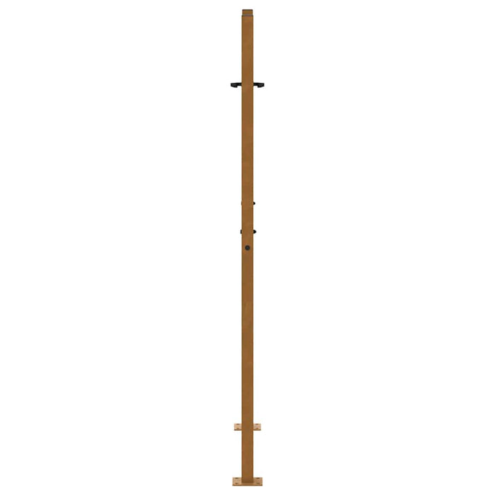 Poartă de grădină 100x150 cm, oțel rezistent la intemperii, model flacără WALTI