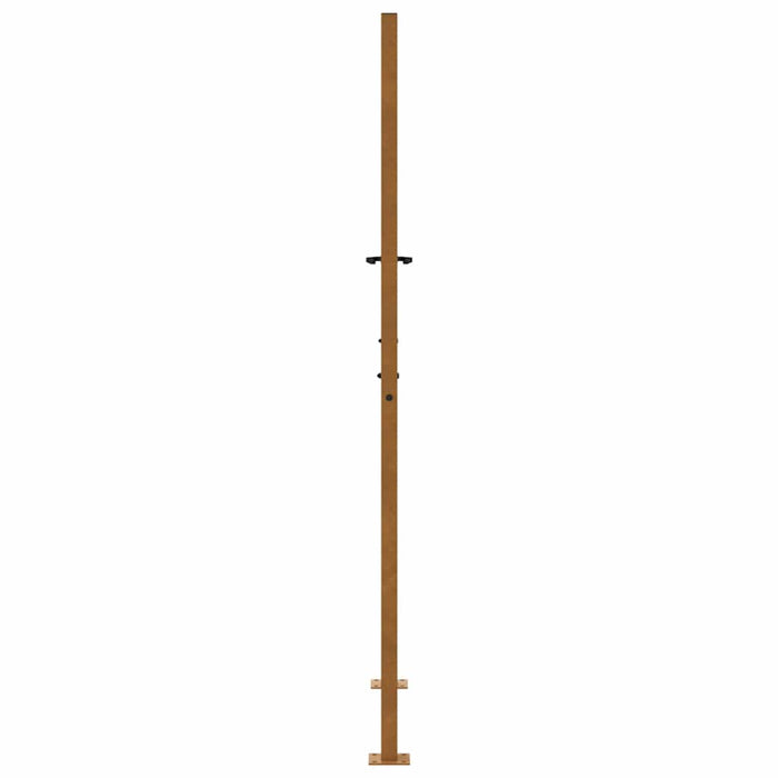 Poartă de grădină 100x175 cm, oțel rezistent la intemperii, design cu flacără WALTI