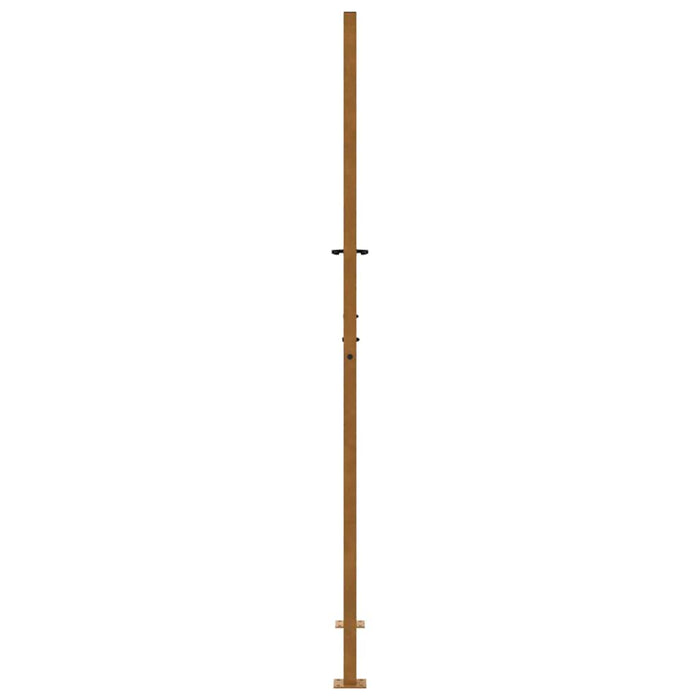 Poartă de grădină 100x200 cm, oțel rezistent la intemperii, model flacără WALTI