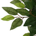 Ficus artificial 480 de frunze 130 cm verde - WALTI WALTI