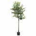 Ficus artificial 756 frunze 170 cm verde - WALTI WALTI