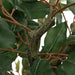 Ficus artificial 756 frunze 170 cm verde - WALTI WALTI