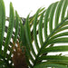 Palmier artificial 6 frunze 100 cm verde - WALTI WALTI