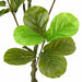 Ficus artificial 30 de frunze 125 cm verde - WALTI WALTI