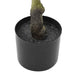 Ficus artificial 30 de frunze 125 cm verde - WALTI WALTI