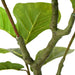Ficus artificial 30 de frunze 125 cm verde - WALTI WALTI
