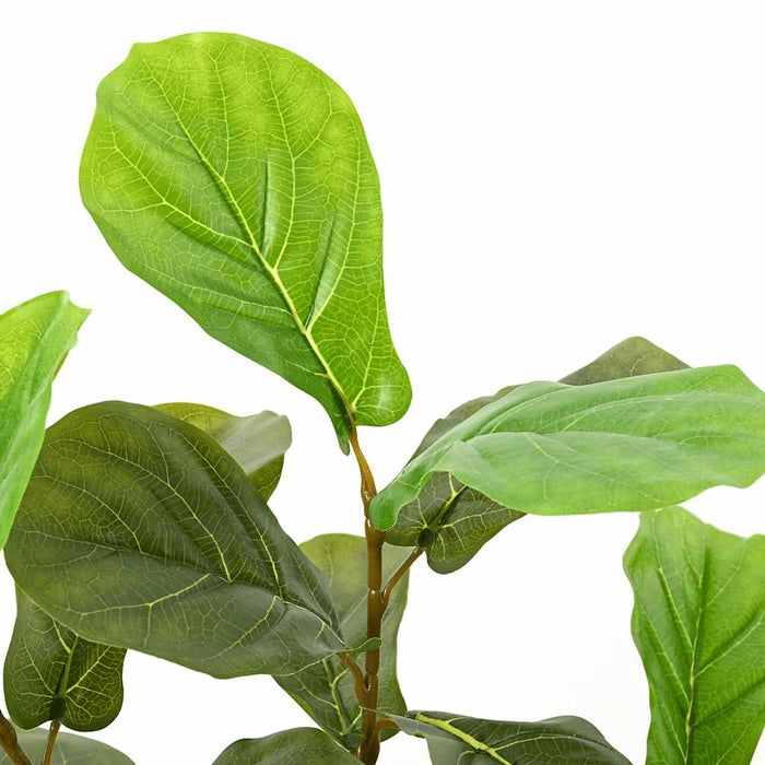 Ficus artificial 48 de frunze 165 cm verde - WALTI WALTI