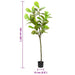 Ficus artificial 48 de frunze 165 cm verde - WALTI WALTI