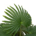 Plantă artificială de palmier 9 frunze 65 cm verde - WALTI WALTI