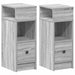 Noptiere 2 buc. cu sertar gri Sonoma 25x31x66 cm - WALTI WALTI