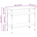 Masă de lucru Gri 100 x 55 x 85 cm Oțel vopsit electrostatic - WALTI WALTI
