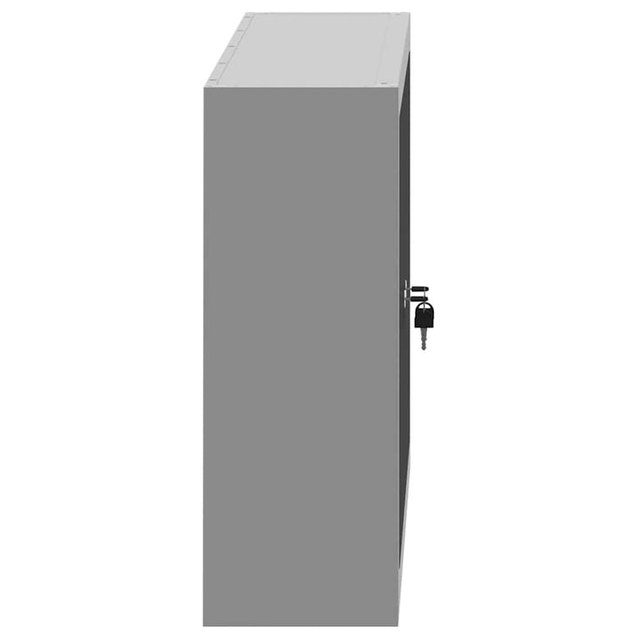 Dulap pentru unelte cu raft Negru și Gri 50 x 20 x 55 cm - WALTI WALTI