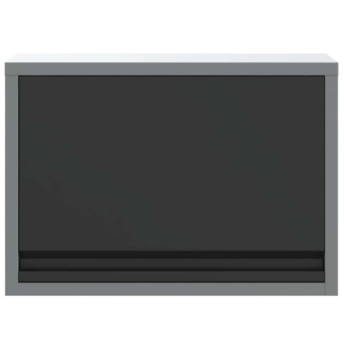 Dulap pentru unelte cu depozitare Negru și Gri 50 x 25 x 35 cm - WALTI WALTI