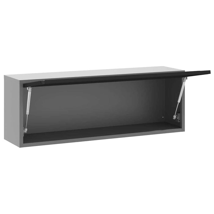 Dulap pentru unelte cu depozitare Negru și Gri 100 x 25 x 35 cm - WALTI WALTI