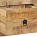 Dulap TV montat pe perete 100x32x25 cm lemn masiv Mango brut - WALTI WALTI