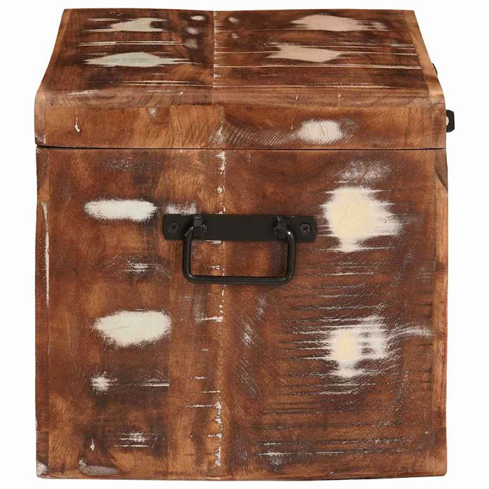 Cutie de depozitare cu depozitare Maro Lemn de mango solid - WALTI WALTI