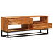Cabinet TV natural 110 x 30 x 44 cm Lemn Solid de Acacia - WALTI WALTI