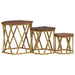 Măsuțe de cafea Maro 55 x 55 x 50 cm Lemn de mango solid - WALTI WALTI