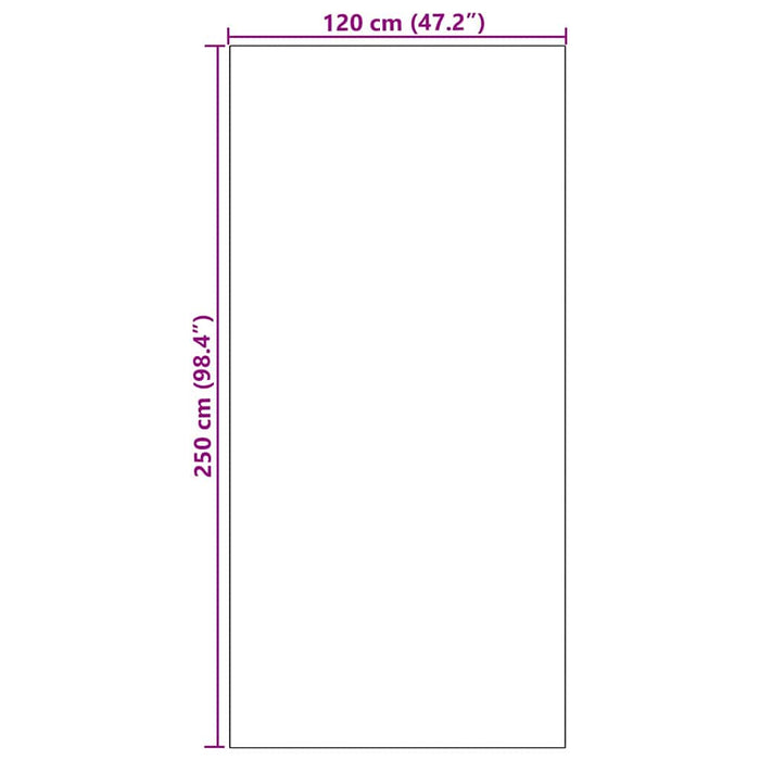 Covoraș de intrare Negru 120 x 250 cm 100% Poliamidă WALTI