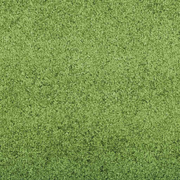 Covoraș de intrare Verde și Negru 120 x 250 cm Poliamidă și PVC - WALTI WALTI